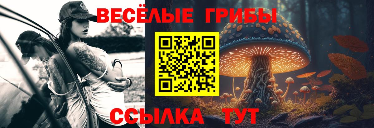 Галлюциногенные грибы GOLDEN TEACHER  Псилоцибиновые грибы мухоморы  Сосновый Бор  Вход с VPN 