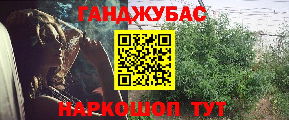 Сосновый Бор  Канабис OG Kush  Конопля семена  Марихуана марихуана  Вход с VPN 