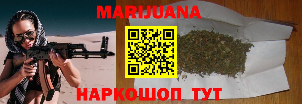 Бошки Шишки планчик Сосновый Бор